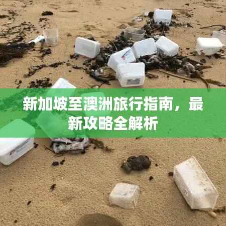 新加坡至澳洲旅行指南，最新攻略全解析