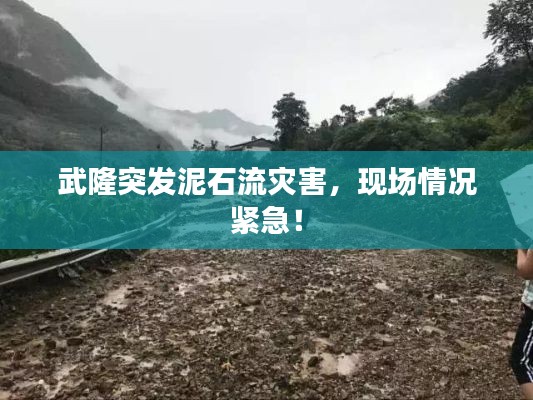 武隆突发泥石流灾害,现场情况紧急!