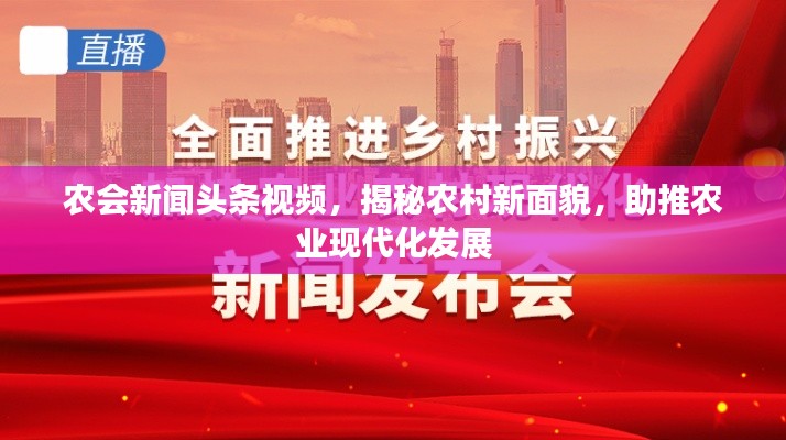农会新闻头条视频,揭秘农村新面貌,助推农业现代化发展