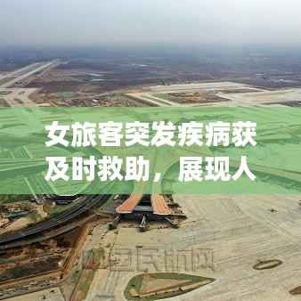 fengmaolinjue 第4页